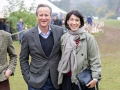 David Cameron memenangkan pertarungan enam tahun untuk mendapatkan kolam renang senilai ₤ 50 000 di rumahnya di Cotswolds senilai ₤ 1, 8 juta setelah tetangganya menuduhnya mengubah taman menjadi ‘resor Benidorm yang norak’