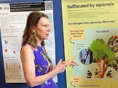 Baroness memicu kemarahan dengan mengenakan gaun tupai abu-abu Dolce dan Gabbana ke konferensi tentang melindungi spesies merah yang terancam punah