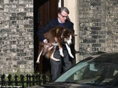 Peter Mandelson membuka kedok untuk pertama kalinya sejak skandal Epstein terungkap di tengah terungkapnya ‘penerbangan hantu’ untuk menemui Putin… saat Kongres AS menuntut dia bersaksi