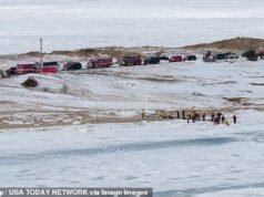 Wanita Cape Cod meninggal terjebak di bawah es setelah dia dan suaminya membawa anjingnya berjalan-jalan di sungai yang membeku