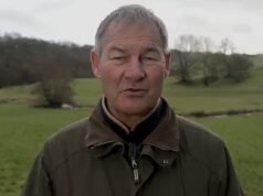 Elon Musk menolak Nigel Farage karena bos Tesla mendukung partai politik baru mantan anggota parlemen Reformasi Inggris, Restore Britain