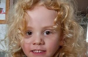 Polisi kembali ke kantor terpencil untuk mencari petunjuk atas hilangnya Gus Lamont yang berusia empat tahun