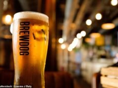 Ekuitas Brewdog untuk investor Punk terguncang karena penjualan bir yang dapat menyebabkan 220,000 penggemar bir kehilangan £75 juta