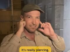 Warga Australia marah atas perangkat yang mengeluarkan suara menjengkelkan di jembatan Perth – dan alasan ‘menjijikkan’ pemasangannya