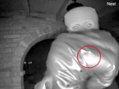 Polisi Nancy Guthrie menyelidiki ‘cincin kelingking’ penculik yang terlihat di bawah sarung tangan dalam rekaman bel pintu saat uang tebusan ‘canggih’ BARU terungkap