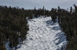 Dua pemain ski lagi tewas di Danau Tahoe hanya beberapa hari setelah longsoran salju yang mengerikan merenggut delapan nyawa
