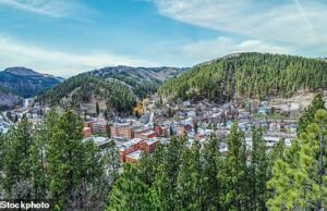 Negara bagian paling populer bagi orang Amerika untuk pindah terungkap ketika information menunjukkan semakin banyak orang yang meninggalkan kota dan memilih daerah pedesaan