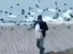 Perebutan lampu Praha membangkitkan emosi: kota ini menghadapi petisi menentang lampu LED, perselisihan meningkat karena situs web yang “disalin”!