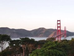 San Francisco menunjukkan tanda-tanda pemulihan ketika wilayah tersebut menjadi tuan rumah Super Bowl