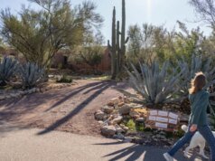 Terbaru dari pihak berwenang saat mereka mencari ibu Savannah Guthrie