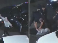 Wanita Mengejek Polisi dengan Menari di Akhir Pengejaran Polisi Liar, di Video