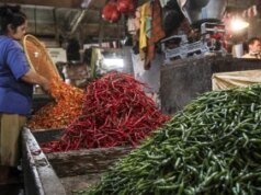 Hati-hati Konsumsi Telur Tanpa Kuningnya Bisa Sebabkan Keracunan Makanan