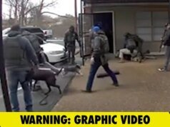 Marsekal AS Menendang Anjing Kecil Dua Kali dalam Video Mengejutkan yang Diambil Saat Penangkapan
