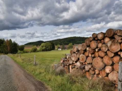 Truist Menaikkan Target Harga di Weyerhaeuser Company (WY) Meskipun Volume Turun dalam Jangka Pendek