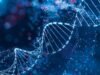 Mereka menemukan bahwa gen mempengaruhi umur panjang Anda lebih dari yang diperkirakan