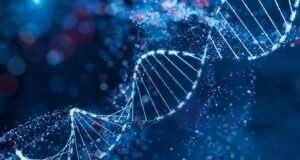 Mereka menemukan bahwa gen mempengaruhi umur panjang Anda lebih dari yang diperkirakan