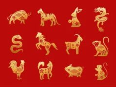 Sangat Beruntung! 6 Shio Ini Banjir Rezeki pada Senin 16 Februari 2026