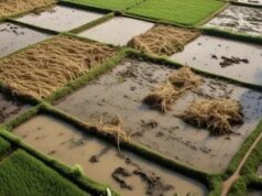 Banjir di Kabupaten Grobogan, 9 736 KK di 45 Desa Terdampak