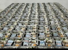 Pramono Ingin Budaya Betawi Masuk Kurikulum Sekolah