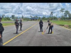 Brigjen Faizal Sebut Pesawat Smart Air Ditembaki 20 Orang KKB