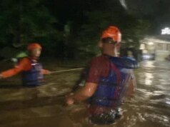 Rehabilitasi Sawah Terdampak Banjir Sumatera, Pemerintah Anggarkan Rp 336 Miliar