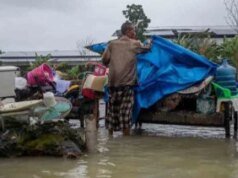 1.842 Hektare Sawah di Grobogan Terendam Banjir, Petani Terancam Gagal Panen