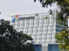 Anak Usaha Prajogo Pangestu Gandeng Mitra Global Garap Proyek Panas Bumi di Lampung