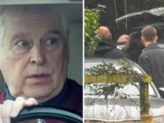 Setelah Ditangkap Terkait Kasus Epstein, Adik Raja Charles Dibebaskan