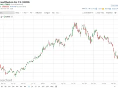 Turun 33 % YTD, Haruskah Anda Membeli Saham Robinhood yang Turun di Februari 2026