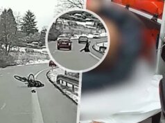 Kasus penganiayaan kucing di pengering: Tersangka muda menghilang secara misterius