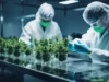Analis Canaccord Memulai Liputan tentang Tilray Brands, Inc. (TLRY).