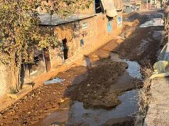 Ludhiana MC menghadapi kritik atas tender pengangkatan kotoran sapi senilai 22, 5 cr