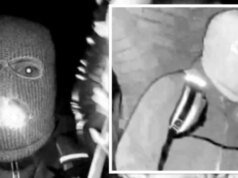 DNA dari sarung tangan yang ditemukan di dekat rumah Nancy Guthrie tidak menghasilkan hasil yang cocok– The Mercury News