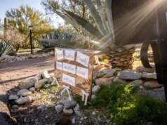 Savannah Guthrie membahas calon penculik ibu dalam video emosional – The Mercury News