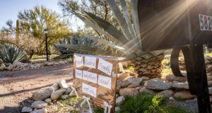 Savannah Guthrie membahas calon penculik ibu dalam video emosional – The Mercury News