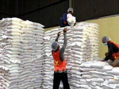 RI Bidik Asia Tenggara untuk Ekspor Beras