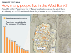 Negara-negara Muslim mengecam Israel atas dorongan ‘aneksasi ilegal’ di Tepi Barat | Berita konflik Israel-Palestina