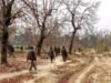 44 Bangunan Maois dihancurkan di Gadchiroli: CRPF|Berita India