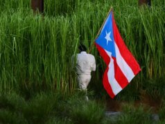 Menghancurkan simbolisme dalam pertunjukan paruh waktu Super Bowl Bad Bunny – The Mercury News