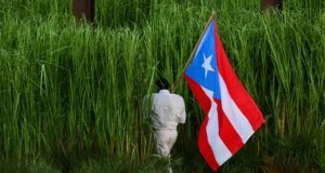 Menghancurkan simbolisme dalam pertunjukan paruh waktu Super Bowl Bad Bunny – The Mercury News