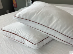 Saya Mencoba Apa yang Akan Ditiduri Atlet AS di Milano Cortina