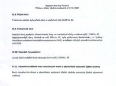 Dana Eva Pavlová menunjukkan rekeningnya untuk pertama kalinya, membantu saat banjir dahsyat