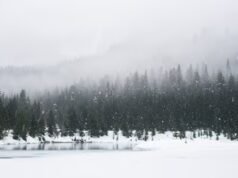 Peringatan cuaca musim dingin di Nebraska, Ohio, New York City, The golden state: Daftar lengkap kota dan kabupaten yang terkena dampak