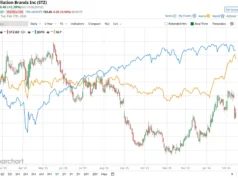 Apakah Analis Wall Street Menyukai Saham Merek Constellation?