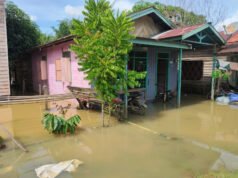 Banjir Rendam Dusun Pondok Labu di Kukar, Dinos Kaltim Gerak Cepat Lakukan Ini