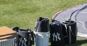 Carlos Lagrange dari New york city Yankees Mendapat Pandangan yang Mengecewakan