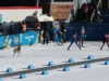 Husky atau serigala? Tim anjing menabrak tim lintas negara untuk mencuri perhatian di Olimpiade Musim Dingin