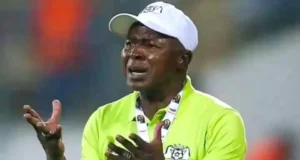 Pelatih Stallions berikutnya: Kamou Malo ingin kembali