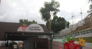 HomPim Play Hadirkan One Stop Family Recreation di Dago Pakar Bandung