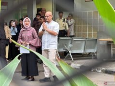 Tren Komisaris Dipidana Tanpa Aliran Dana, Pakar Ingatkan Sinyal Bahaya Profesionalisme BUMN